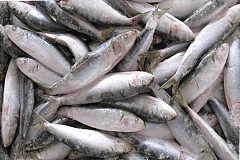 Décongeler son poisson rapidement